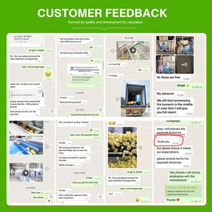 Máy phân loại tự động theo kích thước và trọng lượng trái cây: xoài, mâm xôi, táo, dâu tây, bơ, chà là - Product Image 6