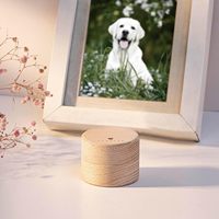 Urne funéraire pour animaux de compagnie en bois de hêtre avec boîte intérieure transparente en acrylique, urne de crémation pour animaux de compagnie gravée en forme de cœur, pour les cendres de chiens et de chats, souvenir commémoratif