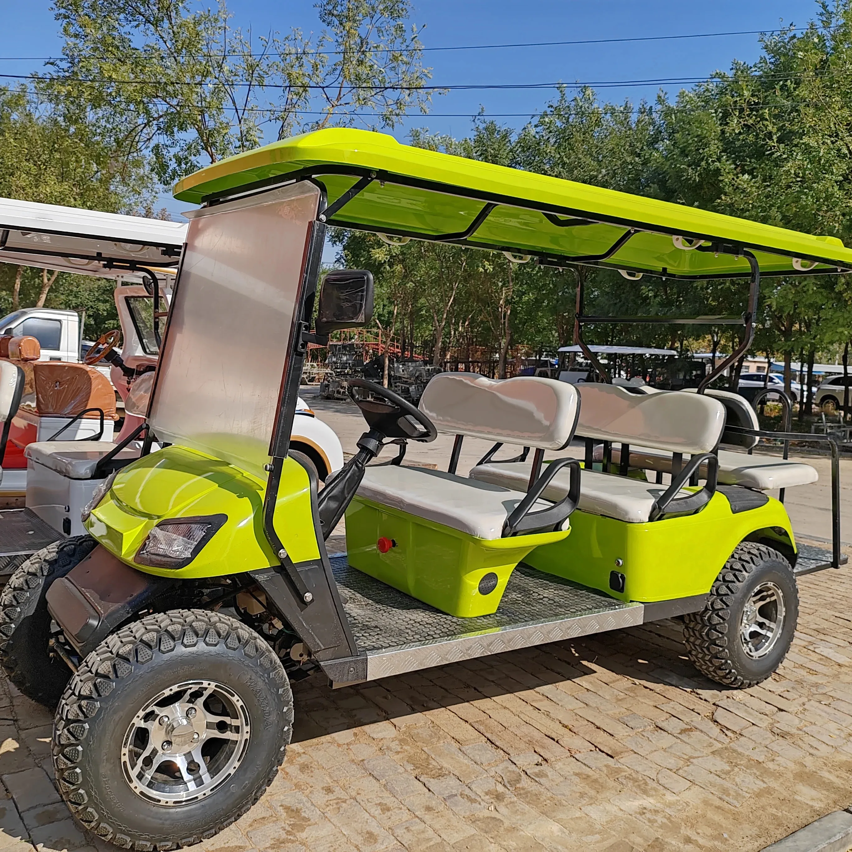 CEE aprovou 2 seater 2 passageiros bateria powered golf cart para venda carrinho de golfe inteligente