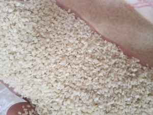 Prêt pour un envoi immédiat de graines de sésame de haute qualité de nos fermes et sous notre surveillance produites en egypte - Product Image 3