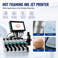 Máquina Automática de Impresión de Códigos de Barras, Impresora de Inyección de Tinta Térmica TIJ para Identificación de Embalajes de Productos, Industria Manufacturera