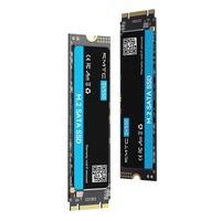 SSD M.2 SATA dengan Kompatibilitas Sistem yang Luas, Drive Solid State Internal yang Andal untuk Peningkatan Laptop dan Desktop Lama