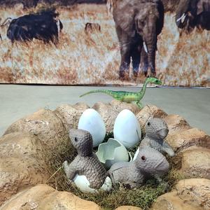 Exposition <span class=keywords><strong>de</strong></span> dinosaures animatroniques du parc des dinosaures Blue Lizard <span class=keywords><strong>de</strong></span> Zigong, bébé dinosaure dans son nid - Product Image 3