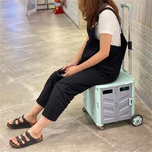 Inklapbare Winkelwagen Commerciële Custom Mand Uitgeschakeld Eco Trolly Ouderen Opvouwbare Strand Tuin Vissen Trolley Prijs