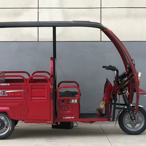 TianYing Foldable Electric Tricycle for Adults Open Canopy Cabin <strong>Roof</strong> Passenger Trycicle <strong>Motorcycle</strong> - Product Image 2