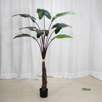 Plante artificielle Calathea Y981, palmier vert italien, plante en pot décorative, vente en gros, décoration d'intérieur, plantes en plastique