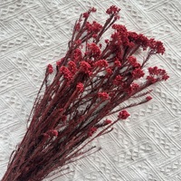 Vente en gros directe de fleurs de riz naturelles éternelles, plantes conservées pour la décoration de mariage, décoration de la maison