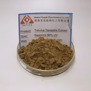 HONGDA 95% Bột Saponins Chiết Xuất Tribulus Terrestris