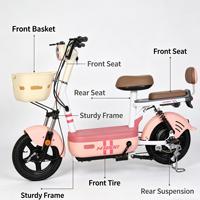 Vélo électrique 2 places 48V, scooter électrique léger pour adulte, homologué CE, vente en gros