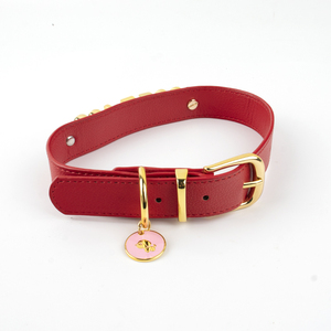 Grosir Set tali dan kerah anjing tahan air berlapis PU kerah biru hijau multiwarna Logo khusus mewah dengan Tag nama - Product Image 5