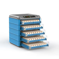 Incubateur d'Œufs Automatique avec Alimentation en Eau, Capacité 500, Incubateur Intelligent de Petite Taille pour la Maison 220V/110V/12V