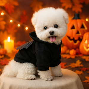 PETCIRCLE Autumn/Winter Halloween Pet <b>Clothes</b> <b>Cat</b> and Dog <b>Clothes</b> Autumn/Winter Hooded Fleece-Lined Sweatshirt Collection - Product Image 2