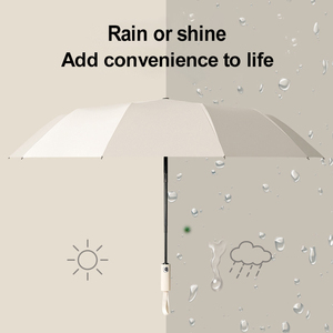 Paraguas Plegable Automático de 12 Varillas al por Mayor, Sombrilla de Viaje Resistente al Viento para Regalo Empresarial, Logotipo Personalizado, Precio de Fábrica, Listo para Enviar - Product Image 4