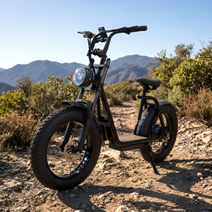 <span class=keywords><strong>Vendita</strong></span> diretta fabbrica ad alta potenza 750W 20 pollici <span class=keywords><strong>Scooter</strong></span> elettrico a lungo raggio 50km assistere fuoristrada avventura motore Brushless completo - Product Image 1