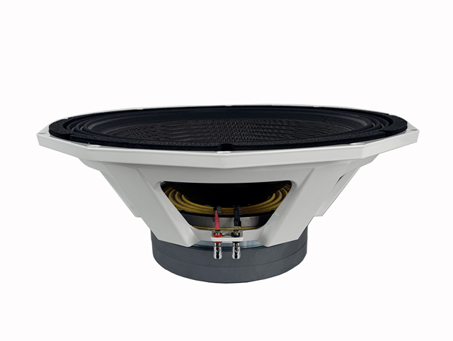 21 Inch Speaker 5.5 Inch Voice Coil Sound Equipment Double Magnet 2500W RMS Power Speaker