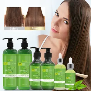 Wholesale private label hair products Plant Tea Tree Oil hair Shampoo And Conditioner Improves Oil Scalp Health 250ml/500ml