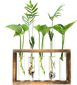 Soporte de Madera para Macetas de Tubo de Ensayo, Estación de Propagación, Florero Cilíndrico, Terrario de Jardín, Decoración de Pared - Product Image 2