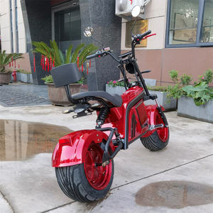 Bicicleta Eléctrica de Carga Rápida I 1500W 1500 750W de Largo Alcance con Diseño Único y Baterías Dobles para Ciudad - Product Image 1