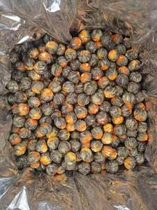 Бесплатный образец: Искусственный, ручной работы, 100% китайский цветочный чай для здоровья, бренд SINO-HERB, от производителя Shining Herb, в пакете - Product Image 6