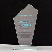Plaque en cristal transparente personnalisée à cinq faces avec dessus incliné asymétrique et base épaisse - Récompense de reconnaissance professionnelle MH-J0139