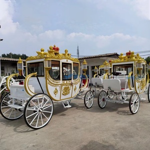 2026 Carrosse Électrique de Luxe Économique, Meilleure Vente, Style Royal Blanc Classique Rétro pour Mariage et Visites, en Promotion à Prix Réduit - Product Image 6