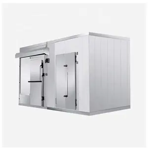 10ton 100ton 1000ton diseño de sistema de almacenamiento en frío gran almacenamiento sala fresca
