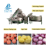 Machine à éplucher et à couper les légumes, les tomates, le manioc et les pommes de terre, à haut rendement industriel, mini, avec perte de peau réduite, 3T/H 6T/H