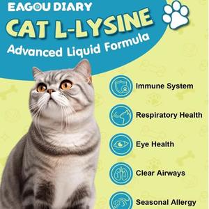 Complément alimentaire <span class=keywords><strong>naturel</strong></span> pour le soutien immunitaire à base de L-Lysine pour les problèmes respiratoires des chats, absorption rapide, gouttes, soins de santé pour animaux de compagnie, OEM/ODM - Product Image 6
