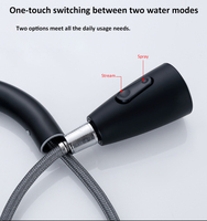 Robinet de cuisine en acier inoxydable avec douchette extractible, mitigeur monocommande pour évier de cuisine domestique, personnalisable