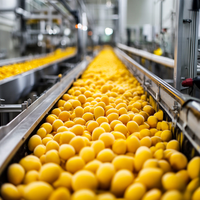 Turn-Key Oplossing Appelpuree Mango Pulp Planten Fruitpulp Jam Guave Sap Machine Concentraat Productielijn