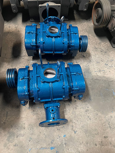Souffleur de racines à courant alternatif haute pression, faible bruit, en fonte, pour désulfuration industrielle, certifié ISO9001 CE, entretien facile, direct usine - Product Image 2