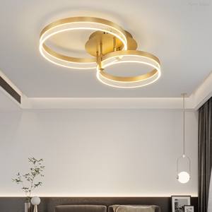 Lámpara de Techo LED Circular Moderna con Control Remoto, Base de Hierro y Cubierta de Acrílico para Iluminación Interior en Salas de Estar y Dormitorios - Product Image 2