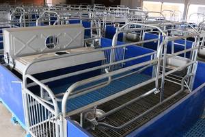 Venta directa de fábrica Equipo de cría de cerdos duradero Panel de PVC Valla de PVC - Product Image 4