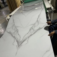 Panneau mural UV résistant à l'humidité Revêtement résistant à la moisissure Installation rapide pour les sous-sols et les murs de la salle de bain