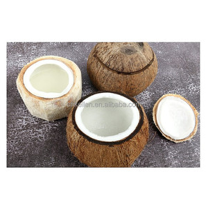Abridor de Cocos Kellen a Buen Precio, 600 Piezas/Hora, Máquina Abridora de Cocos Frescos - Product Image 1