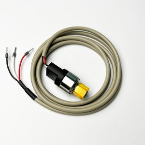 Китайский производитель Chinastar CS-PT300M — датчик давления для систем ОВКВ и кондиционирования воздуха, диапазон -1~50 бар, для хладагентов, IP67, сертификат CE, высокоточный - Product Image 3