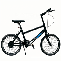 Vente directe usine OEM/ODM Vélo électrique adulte 20 pouces avec batterie lithium antivol 36V 250W et moteur moyeu arrière sans balais en acier