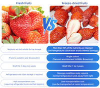 Hoge Efficiëntie Automatische Gesneden Fruit Vacuüm Vriesdrogen Lijn Automatische Wassen & Lyofilisator Voor Banaan/Aardbei