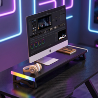 Support de moniteur de jeu RGB avec 4 ports USB, support d'ordinateur LED, organisateur de bureau avec rangement pour clavier sous le bureau