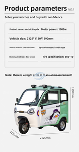 Triciclo eléctrico de alta velocidad, legal para la calle, con configuraciones ajustables que ofrece un desplazamiento seguro y eficiente para todos. - Product Image 1