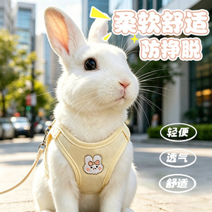 Laisse pour lapin, spécialement conçue pour promener les animaux de compagnie, notamment les petits lapins nains, corde anti-évasion, porte-lapin, extérieur - Product Image 2