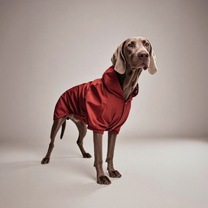 थोक शानदार वाटरप्रूफ कुत्ते वर्षाकोट जैकेट पालतू जानवरों के आउटडोर कपड़े विंडप्रूफ गर्म और कुत्ते डिजाइनर कपड़ों को स्टोर करने में आसान - Product Image 3