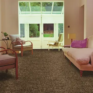 Luxury Carpet For Hotel Room Commercial Cinema Loop Pile Carpet Tiles