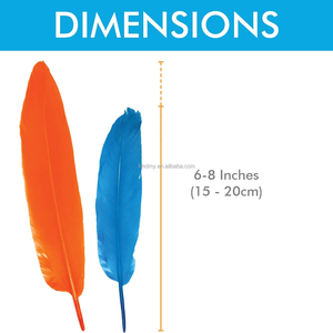 Plumas de Ganso Coloridas para Decoración de Escenarios y Fotografía, Halloween, Carnaval, Navidad, Día de la Independencia, Fiestas, Disfraces y Accesorios - Product Image 5