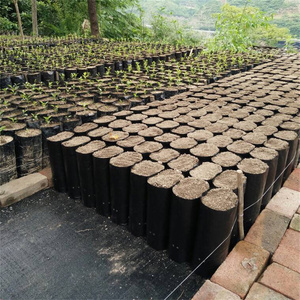 Sac de culture en pot noir pour plantes de jardin, sac de culture pour semis, transplantation, pot de culture - Product Image 6