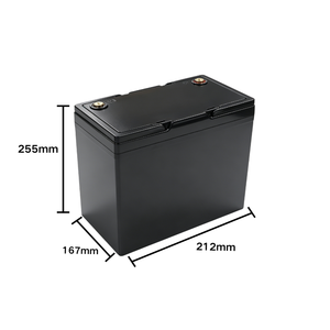 Batterie LiFePO4 à décharge profonde 12,8 V 100 Ah, 2000 cycles, pour camping/<span class=keywords><strong>moteur</strong></span> de pêche à la traîne/trottinette électrique, compatible UN38.3/CE/MSDS - Product Image 2
