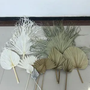 Thuis Bruiloft Decoratieve Gedroogde Bloemen Bewaard Gebleekte Wit Natuurlijke Spade Fan Zon Palmblad