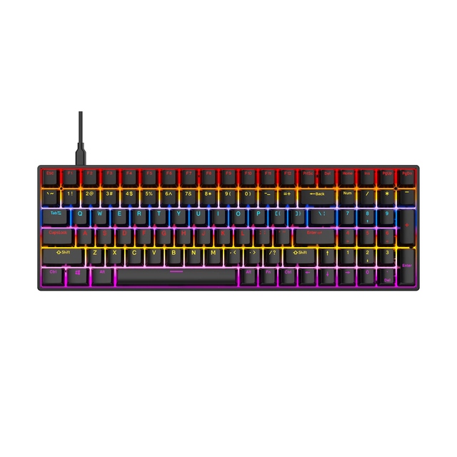 61 Keys Mechanical Keyboard Wired USB Mechanical 17 Types RGB Keyboards for Computer Laptop Red Blue Tea Axis Keyboards