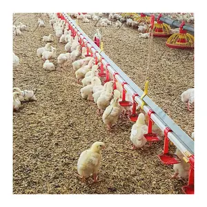 Granja de pollos para aves, precio de pila, a la venta en Dinamarca e Indonesia