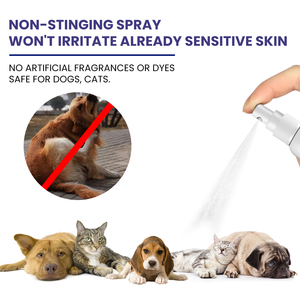 犬と猫のためのペットのかゆみ防止スキンリリーフスプレーなだめるような快適な毎日の肌の防御と穏やかなコートの保護を提供します - Product Image 4